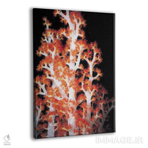 تابلو مرجان قرمز گورگونی شماره ۲ اثر هنرمند ناشناس - نمای پرسپکتیو محصول