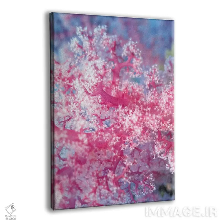 تابلو مرجان صورتی گرانبها اثر هنرمند ناشناس - نمای پرسپکتیو محصول
