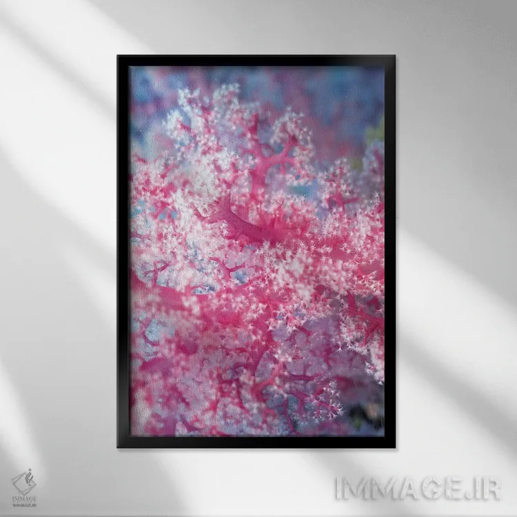 تابلو مرجان صورتی گرانبها اثر هنرمند ناشناس - نمای قابدار مشکی