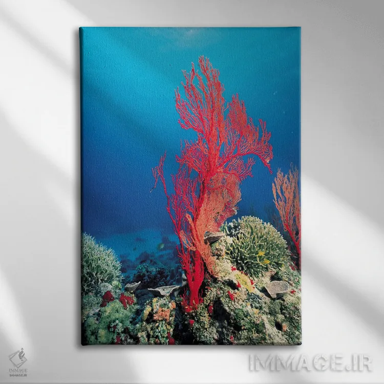تابلو مرجان قرمز اثر هنرمند ناشناس - نمای روبهرو روی دیوار
