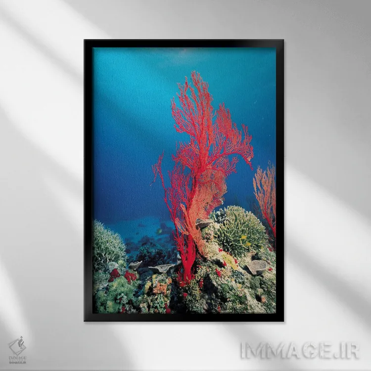 تابلو مرجان قرمز اثر هنرمند ناشناس - نمای قابدار مشکی
