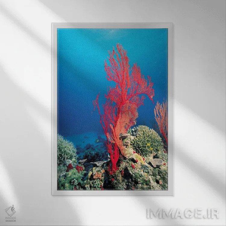 تابلو مرجان قرمز اثر هنرمند ناشناس - نمای قابدار سفید