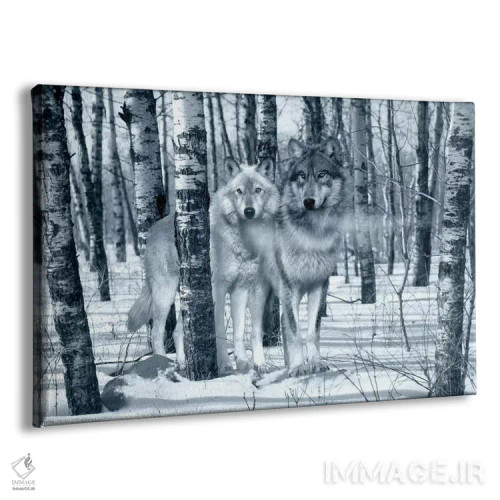 تابلو سایهبرفیها (تنهای نقرهای) اثر گوردون سمنس - نمای پرسپکتیو محصول