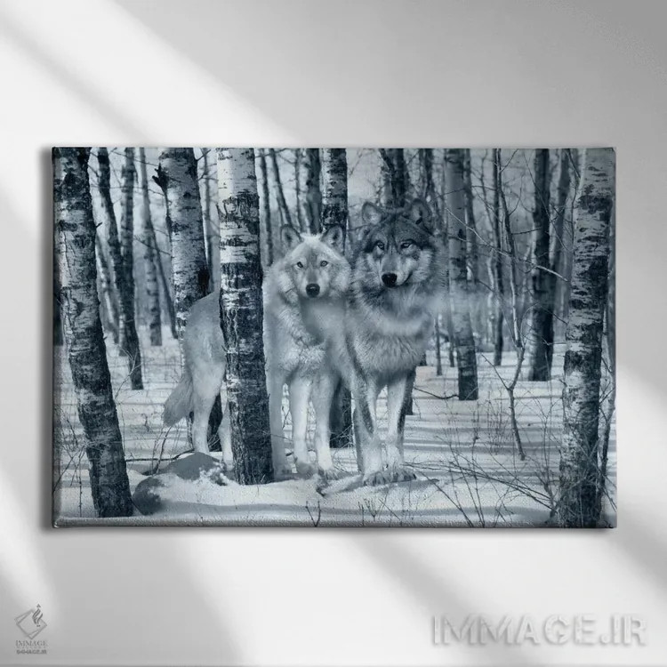 تابلو سایهبرفیها (تنهای نقرهای) اثر گوردون سمنس - نمای روبهرو روی دیوار