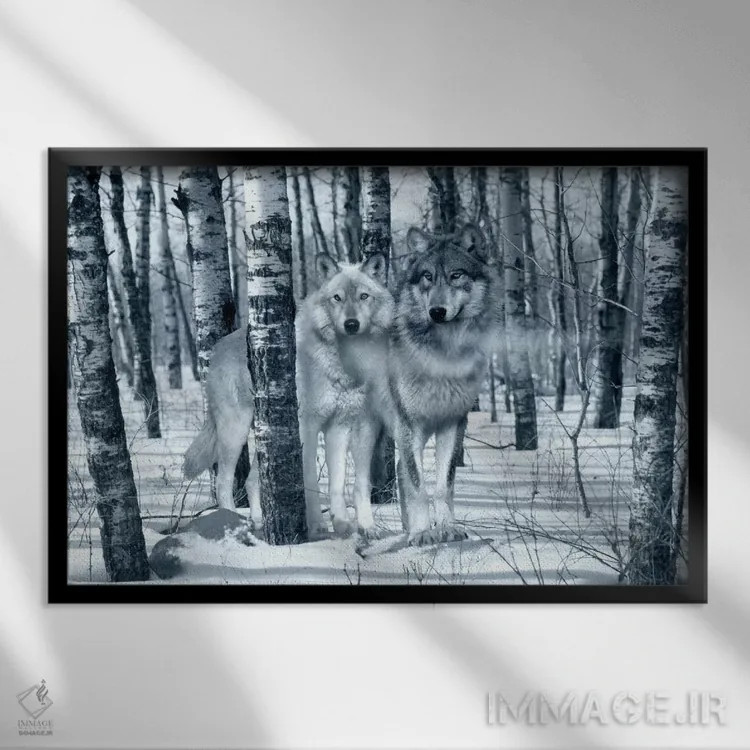 تابلو سایهبرفیها (تنهای نقرهای) اثر گوردون سمنس - نمای قابدار مشکی