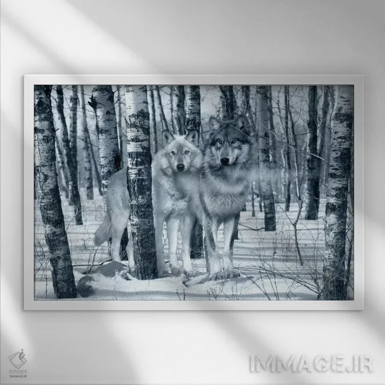 تابلو سایهبرفیها (تنهای نقرهای) اثر گوردون سمنس - نمای قابدار سفید