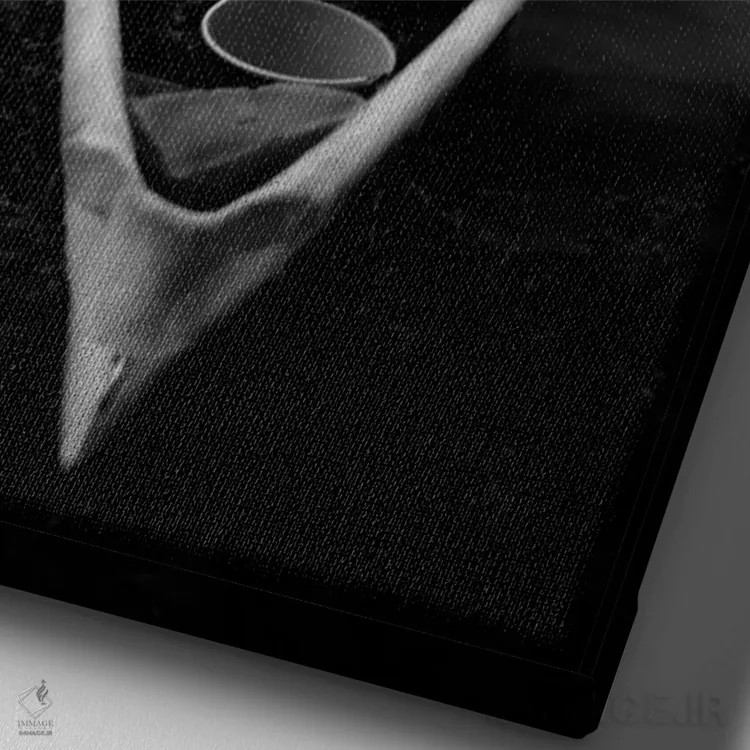 تابلو یک قایق پارویی و حواصیل اثر موایسس لوی - نمای نزدیک بافت بوم