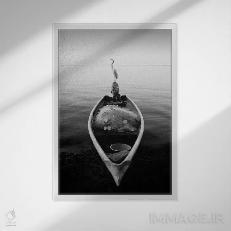 تابلو یک قایق پارویی و حواصیل اثر موایسس لوی - نمای قابدار سفید