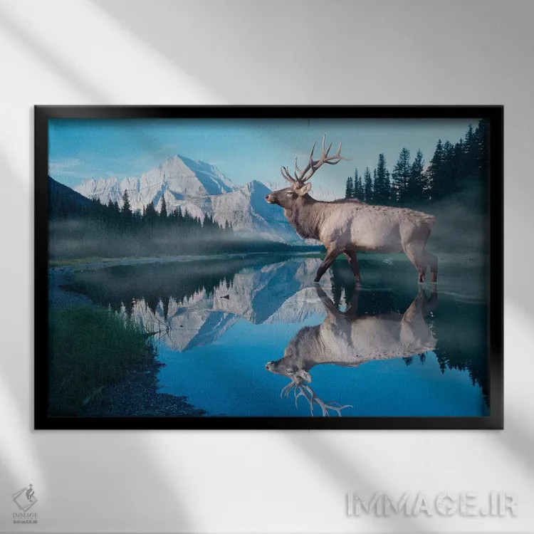 تابلو انعکاس یخچال طبیعی اثر گوردون سمنس - نمای قابدار مشکی