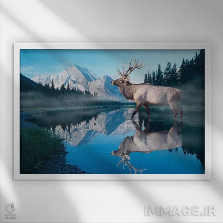 تابلو انعکاس یخچال طبیعی اثر گوردون سمنس - نمای قابدار سفید