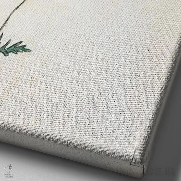 تابلو Poppy and Winding,بابونه، شقایق و پیچک اثر اگون شیله (نقاش اتریشی) - نمای نزدیک بافت بوم