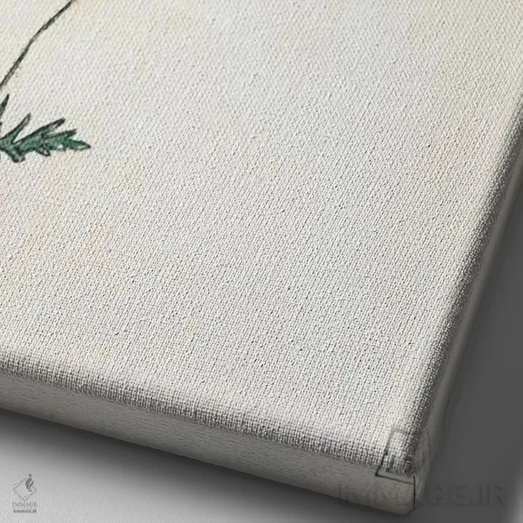 تابلو Poppy and Winding,بابونه، شقایق و پیچک اثر اگون شیله (نقاش اتریشی) - نمای نزدیک بافت بوم