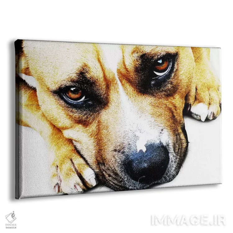 تابلو چشمان بول تریر اثر مایکل تامپست - نمای پرسپکتیو محصول