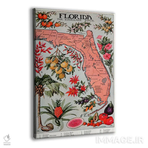 تابلو نقشهٔ ایالت فلوریدا (منابع طبیعی) اثر هنرمند ناشناس - نمای پرسپکتیو محصول