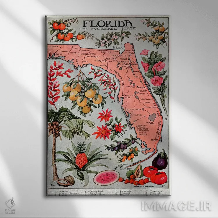 تابلو نقشهٔ ایالت فلوریدا (منابع طبیعی) اثر هنرمند ناشناس - نمای روبهرو روی دیوار