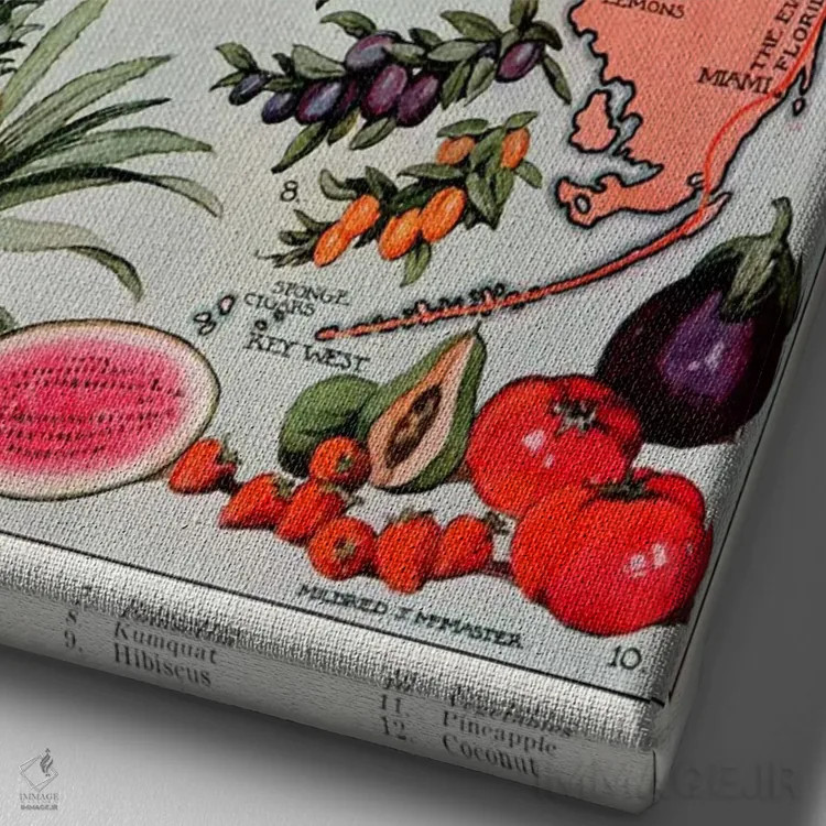 تابلو نقشهٔ ایالت فلوریدا (منابع طبیعی) اثر هنرمند ناشناس - نمای نزدیک بافت بوم