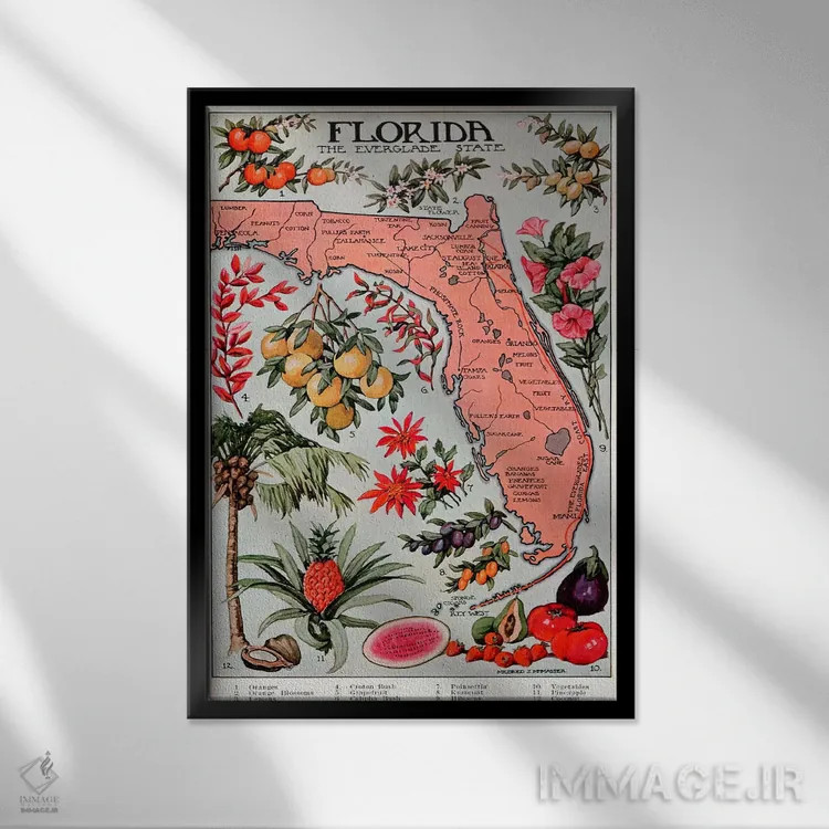 تابلو نقشهٔ ایالت فلوریدا (منابع طبیعی) اثر هنرمند ناشناس - نمای قابدار مشکی