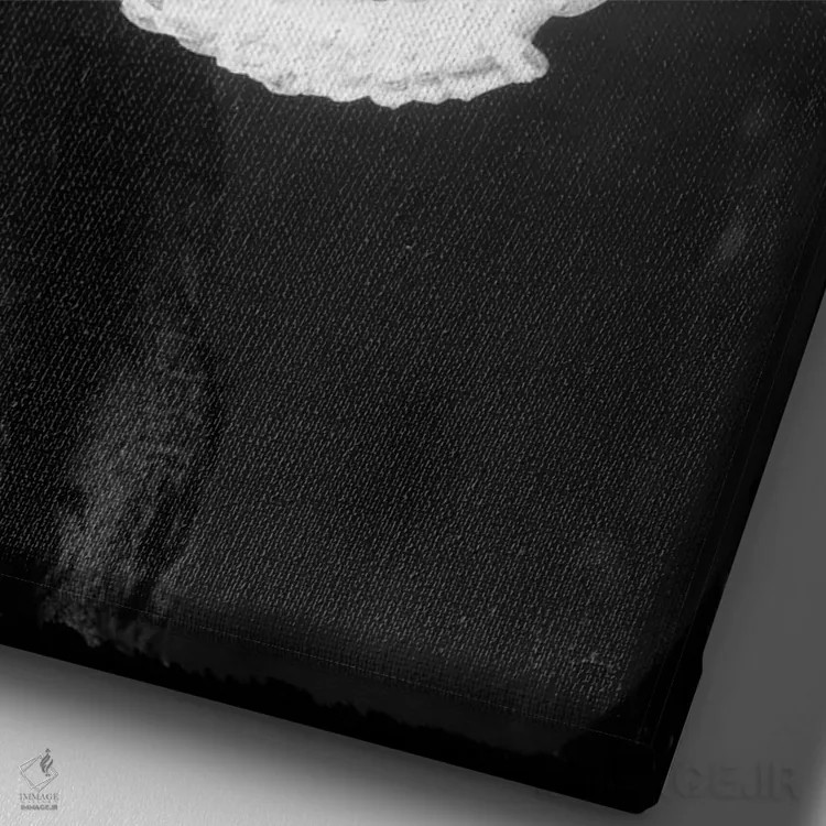 تابلو اسکلت اثر هنرمند ناشناس - نمای نزدیک بافت بوم