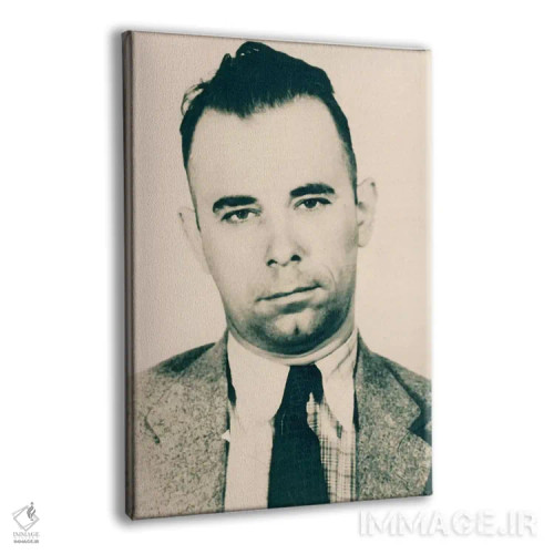 تابلو جان دیلینجر اثر فایو بای فایو کالکتیو - نمای پرسپکتیو محصول