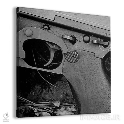 تابلو سلاح ویرانگر (تفنگ) اثر هنرمند ناشناس - نمای پرسپکتیو محصول
