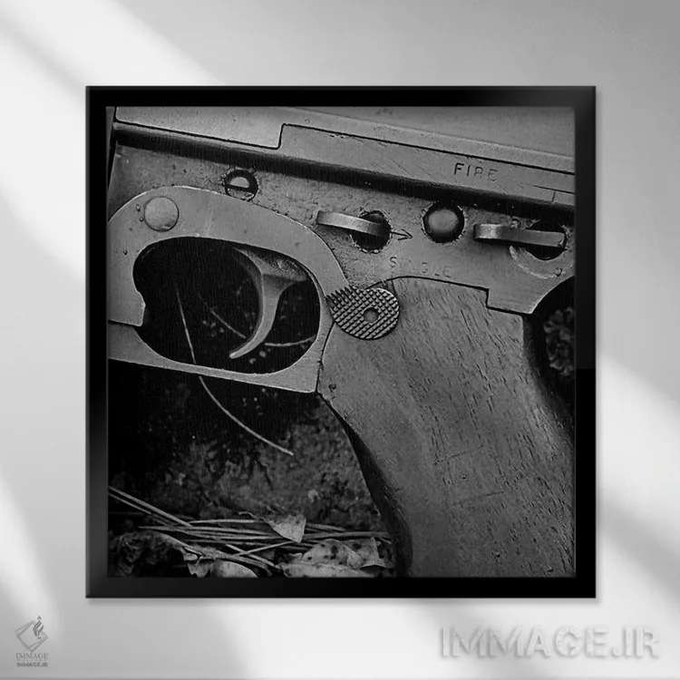 تابلو سلاح ویرانگر (تفنگ) اثر هنرمند ناشناس - نمای قابدار مشکی