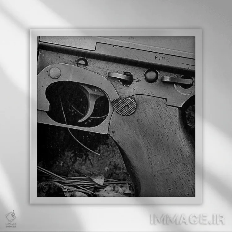 تابلو سلاح ویرانگر (تفنگ) اثر هنرمند ناشناس - نمای قابدار سفید