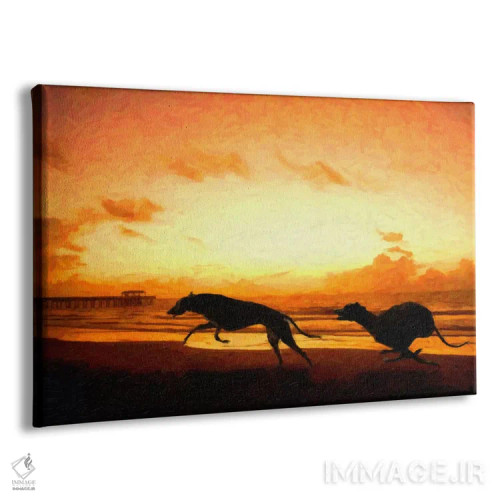 تابلو سگهای گریهاوند در ساحل هنگام غروب اثر مایکل تامپست - نمای پرسپکتیو محصول