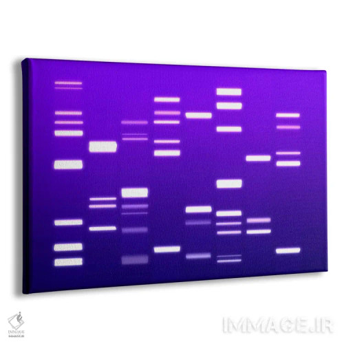 تابلو کد ژنتیکی دیانای (بنفش) اثر مایکل تامپست - نمای پرسپکتیو محصول