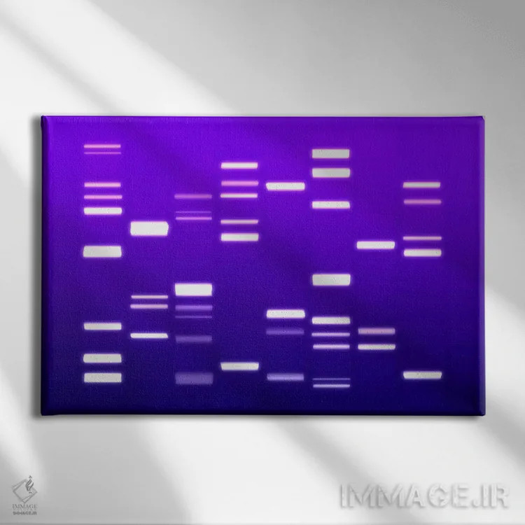 تابلو کد ژنتیکی دیانای (بنفش) اثر مایکل تامپست - نمای روبهرو روی دیوار