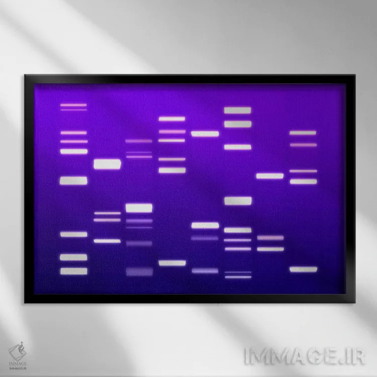 تابلو کد ژنتیکی دیانای (بنفش) اثر مایکل تامپست - نمای قابدار مشکی