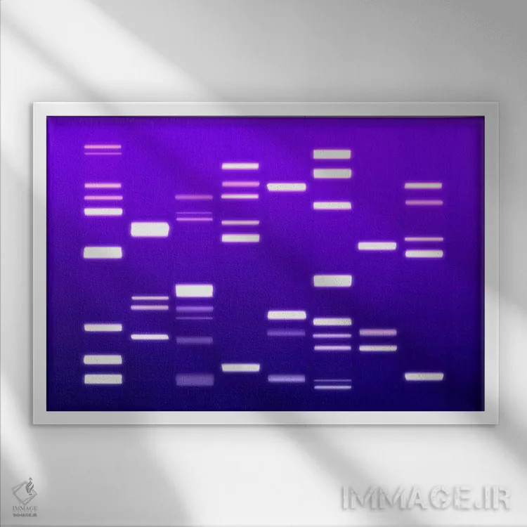 تابلو کد ژنتیکی دیانای (بنفش) اثر مایکل تامپست - نمای قابدار سفید