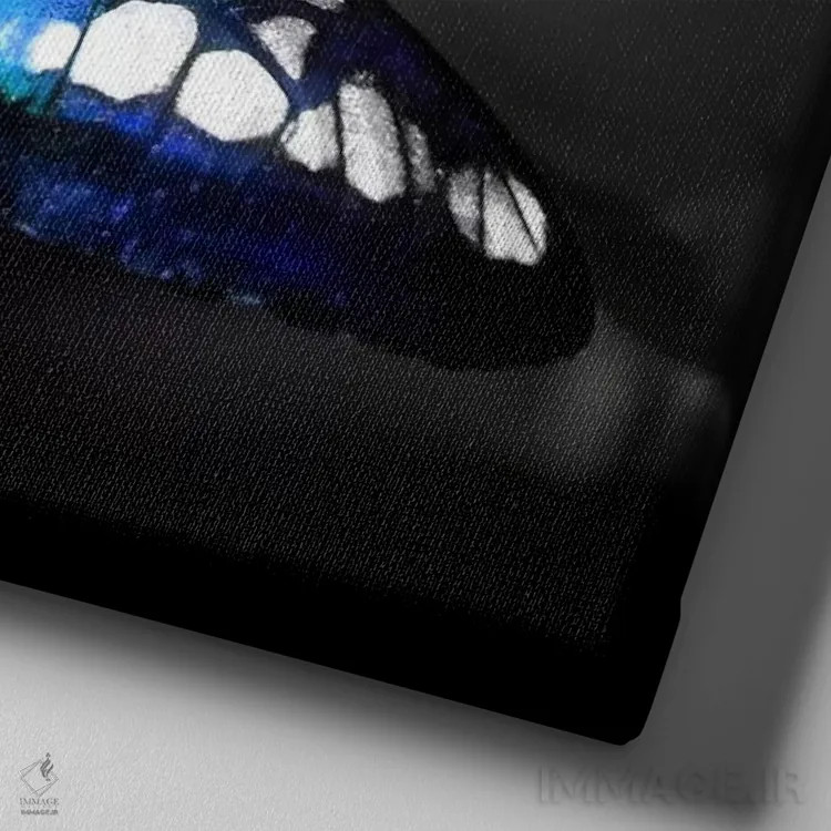 تابلو عکس پروانهٔ رنگی اثر هنرمند ناشناس - نمای نزدیک بافت بوم