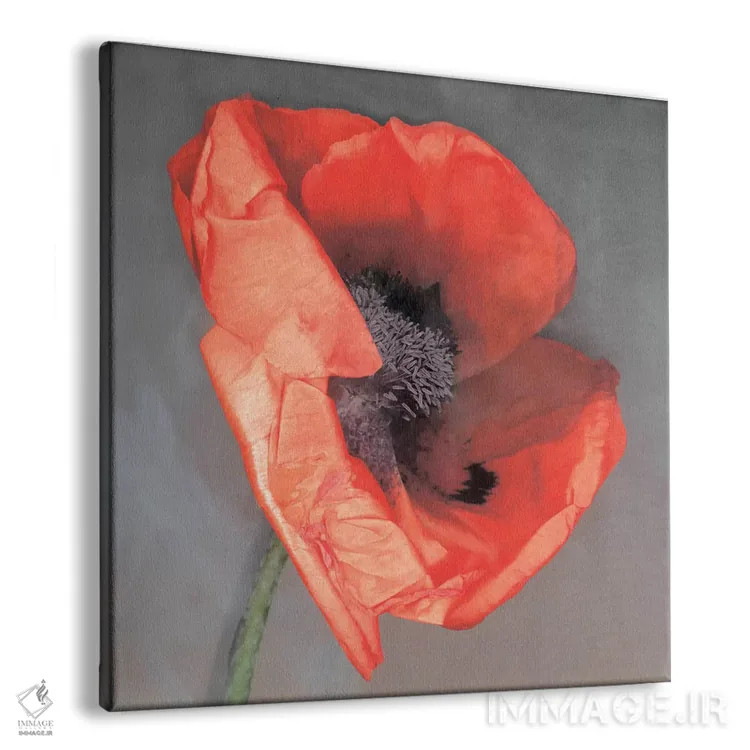 تابلو روسّا (نام خاص یا رنگ) اثر ارین کلارک - نمای پرسپکتیو محصول