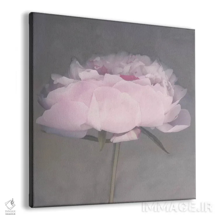 تابلو جولی (نام خاص) اثر ارین کلارک - نمای پرسپکتیو محصول