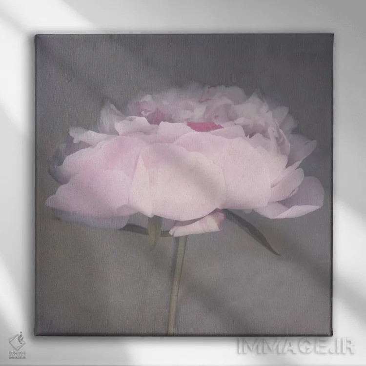 تابلو جولی (نام خاص) اثر ارین کلارک - نمای روبهرو روی دیوار