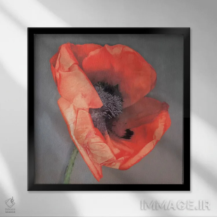 تابلو روسّا (نام خاص یا رنگ) اثر ارین کلارک - نمای قابدار مشکی