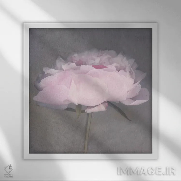 تابلو جولی (نام خاص) اثر ارین کلارک - نمای قابدار سفید