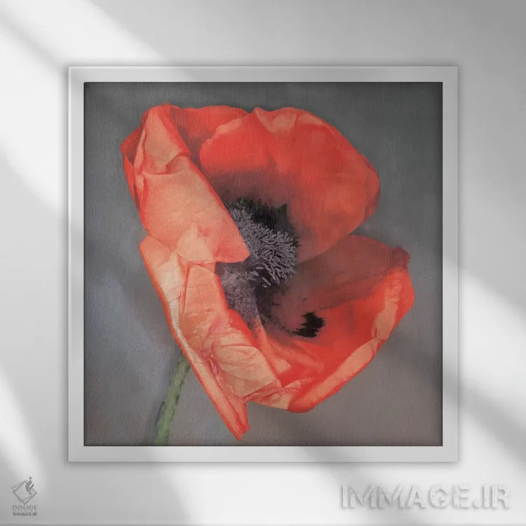 تابلو روسّا (نام خاص یا رنگ) اثر ارین کلارک - نمای قابدار سفید