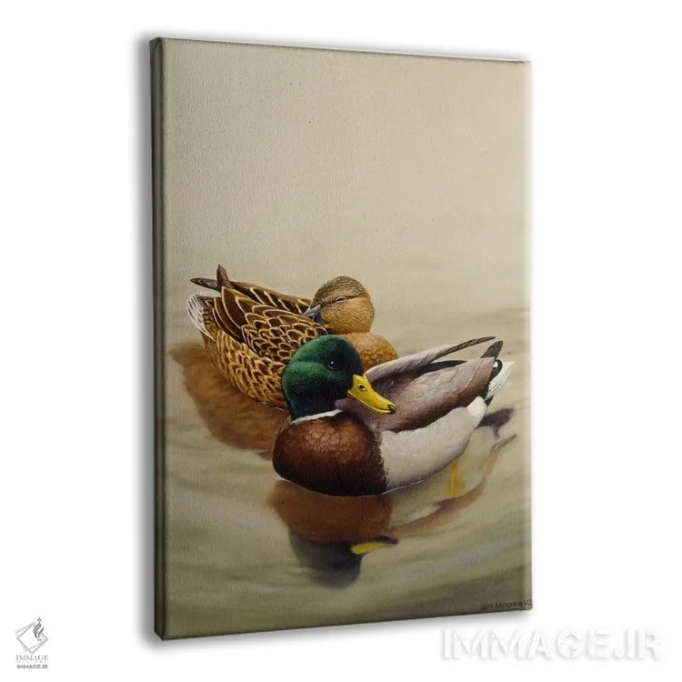 تابلو اردک ملالارد (گونهٔ اردک) اثر هارو ماس - نمای پرسپکتیو محصول
