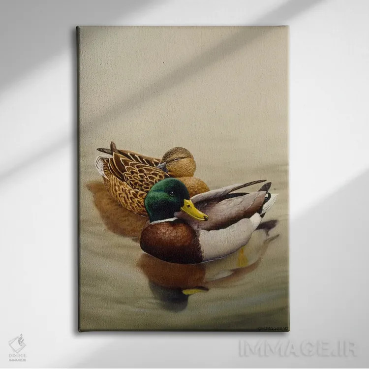 تابلو اردک ملالارد (گونهٔ اردک) اثر هارو ماس - نمای روبهرو روی دیوار