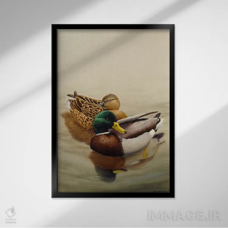 تابلو اردک ملالارد (گونهٔ اردک) اثر هارو ماس - نمای قابدار مشکی