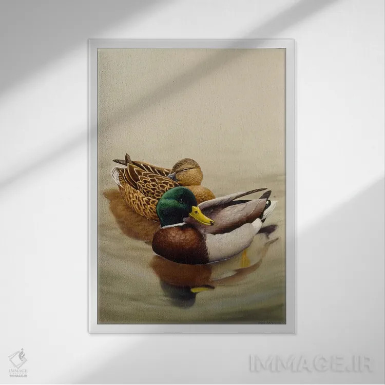 تابلو اردک ملالارد (گونهٔ اردک) اثر هارو ماس - نمای قابدار سفید