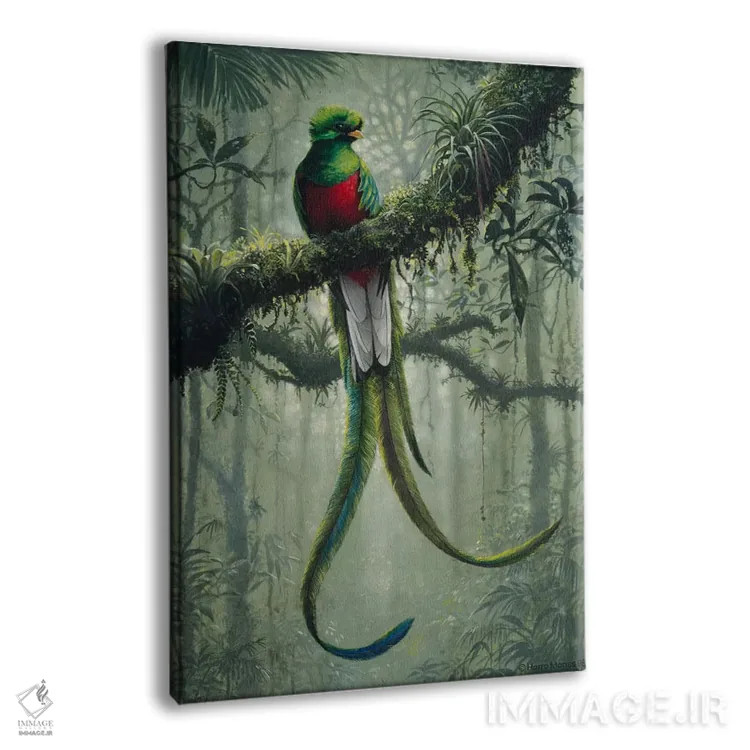 تابلو کتزال باشکوه ۲ (نوع پرنده) اثر هارو ماس - نمای پرسپکتیو محصول