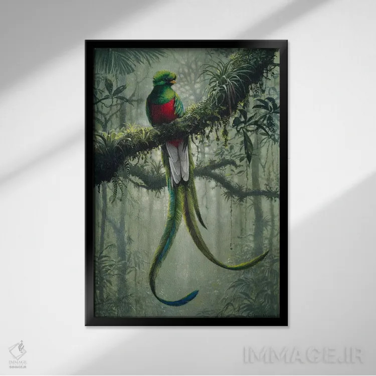 تابلو کتزال باشکوه ۲ (نوع پرنده) اثر هارو ماس - نمای قابدار مشکی