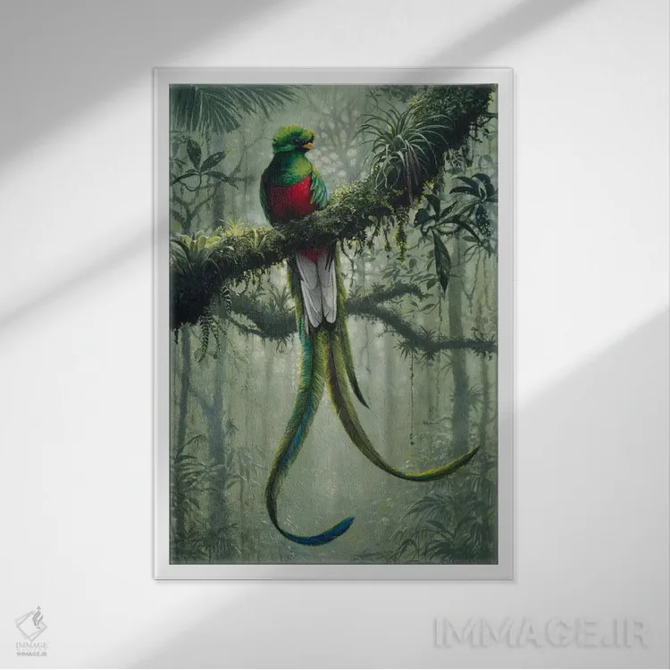 تابلو کتزال باشکوه ۲ (نوع پرنده) اثر هارو ماس - نمای قابدار سفید