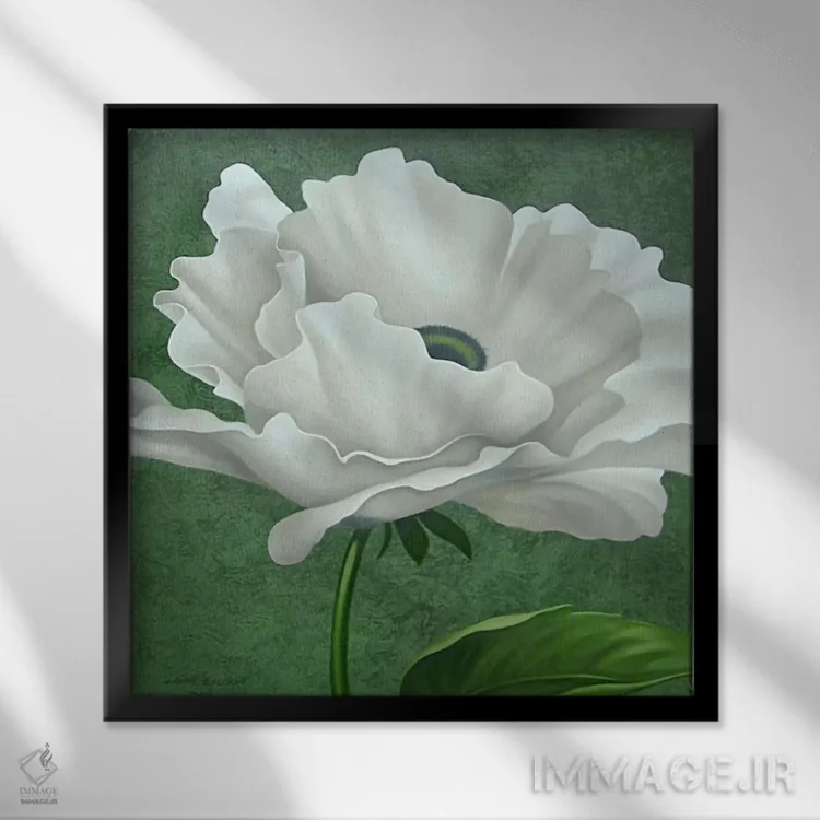 تابلو شقایق سفید اثر جان زاکئو - نمای قابدار مشکی