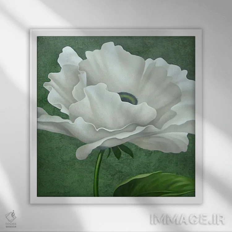 تابلو شقایق سفید اثر جان زاکئو - نمای قابدار سفید