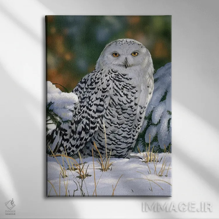 تابلو جغد برفی اثر ویلیام واندر داسون - نمای روبهرو روی دیوار