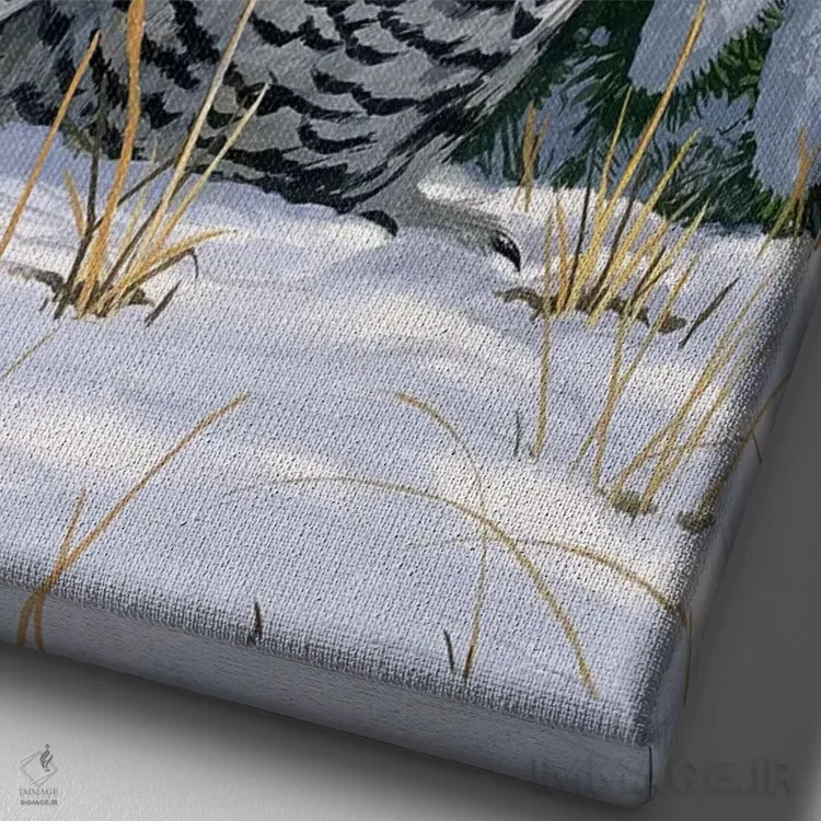 تابلو جغد برفی اثر ویلیام واندر داسون - نمای نزدیک بافت بوم