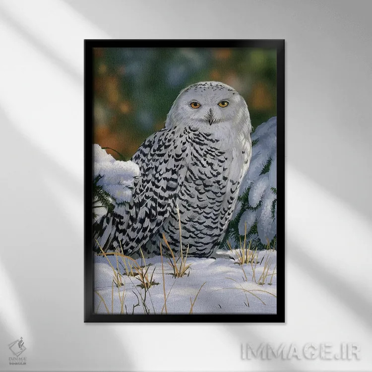 تابلو جغد برفی اثر ویلیام واندر داسون - نمای قابدار مشکی